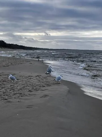 Apartman U Adama I Ewy Sky *